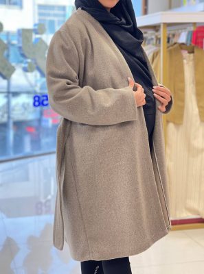 پالتو بارداری